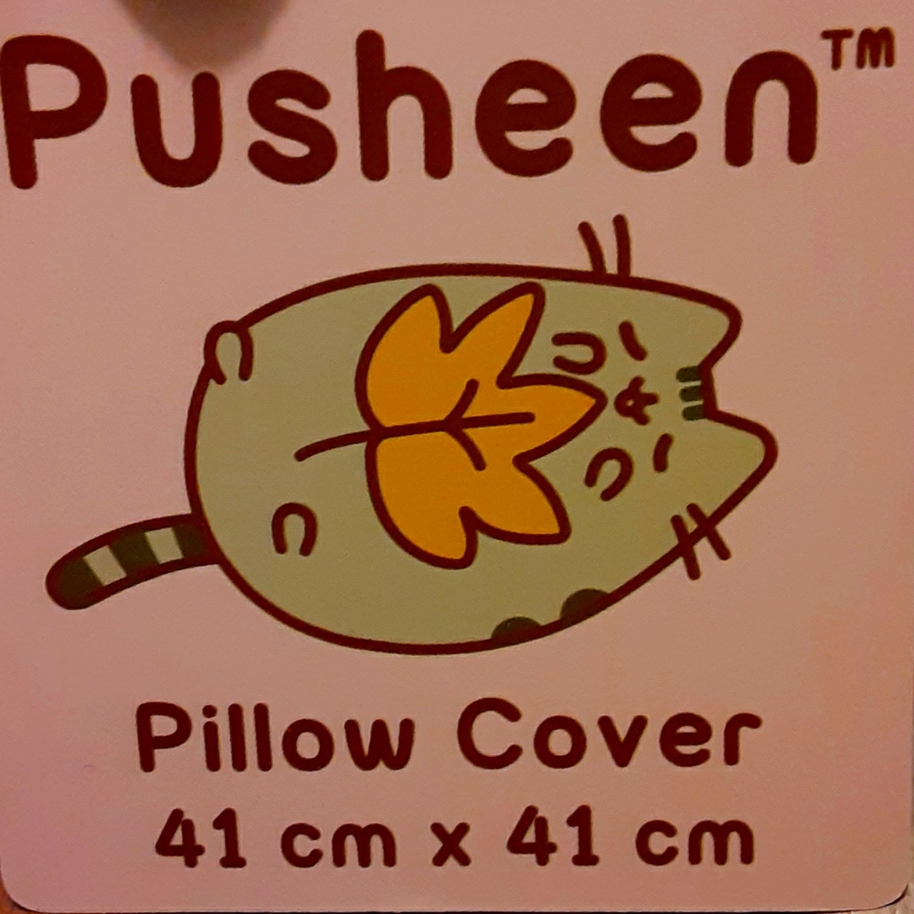 Pusheen Box - Picture 4 of 4